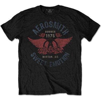 Aerosmith Modell AEROTS02MB Svart kortärmad T-shirt - Produkttyp Aerosmith Modell AEROTS02MB Svart kortärmad T-shirt - Produkttyp