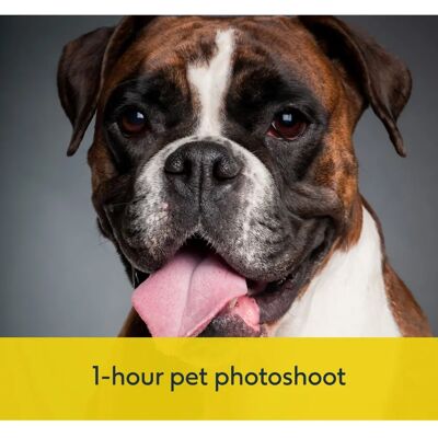 Activity Superstore - Pet Portrait Gift Experience Activity Superstore - Pet Portrait Gift Experience