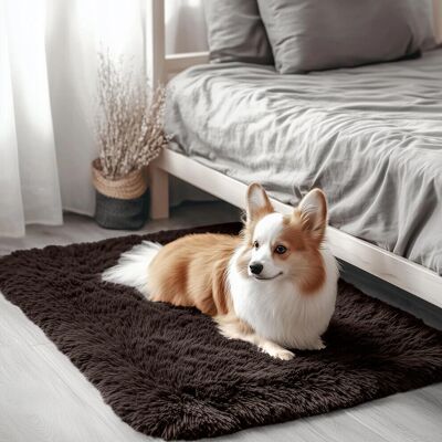 Imperial Rooms - Brown 60 x 110 cm - Runner rug Imperial Rooms - Brown 60 x 110 cm - Runner rug