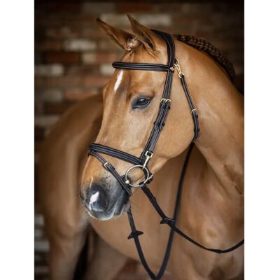 LeMieux Work Bridle - Brown, Extra Full - Bridle LeMieux Work Bridle - Brown, Extra Full - Bridle