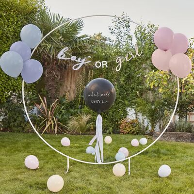 Ginger Ray Gender Reveal Party in a Box - Baby Shower Decor Pink Blue Girl Boy Ginger Ray Gender Reveal Party in a Box - Baby Shower Decor Pink Blue Girl Boy