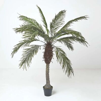 Homescapes Künstliche Palme Phoenix Canariensis 160 cm hoch - Kunstpalme Homescapes Künstliche Palme Phoenix Canariensis 160 cm hoch - Kunstpalme