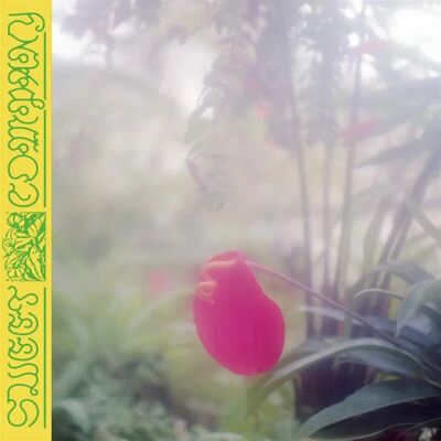 C&D Jabu Sweet Company 2020 - CD C&D Jabu Sweet Company 2020 - CD