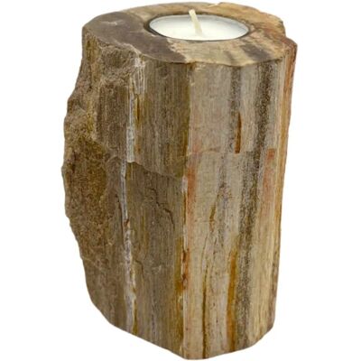 AWArtisan Petrified Wood Candle Holder - Tall Single Candle AWArtisan Petrified Wood Candle Holder - Tall Single Candle