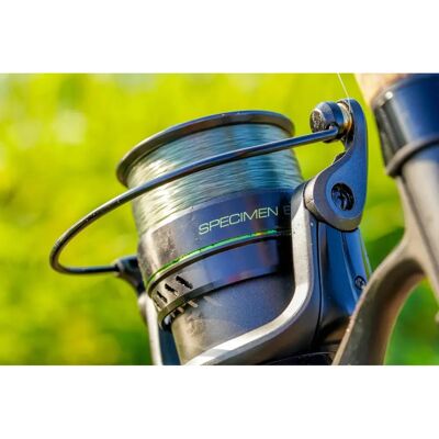 Guru N-Gauge Specimen 6000 Reel - Fishing Reel Guru N-Gauge Specimen 6000 Reel - Fishing Reel