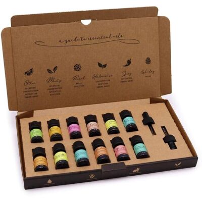 Ancient Wisdom Aromatherapy Essential Oils Set - Summer - Floral, Mint, Woody Ancient Wisdom Aromatherapy Essential Oils Set - Summer - Floral, Mint, Woody