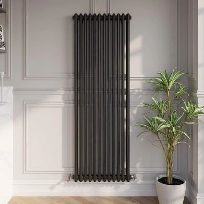 Park Lane - Vertical Colosseum - Vertical - Black - Radiator Park Lane - Vertical Colosseum - Vertical - Black - Radiator