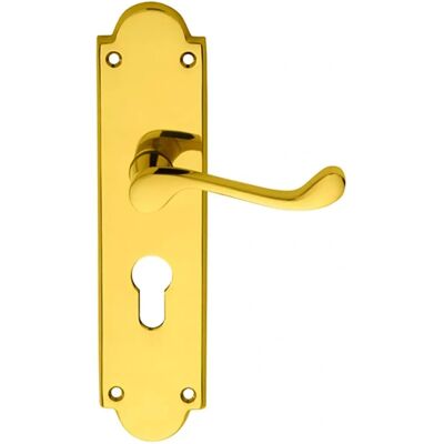 Unknown - Victorian Scroll Lever - Polished Brass - Lever on backplate Unknown - Victorian Scroll Lever - Polished Brass - Lever on backplate