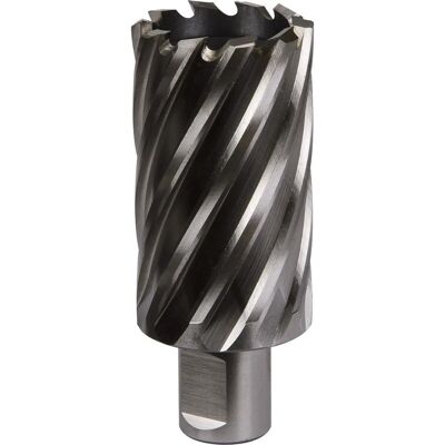 Loops - Rotabor Cutter - 36x50mm depth - 19mm shank - Cutter Loops - Rotabor Cutter - 36x50mm depth - 19mm shank - Cutter