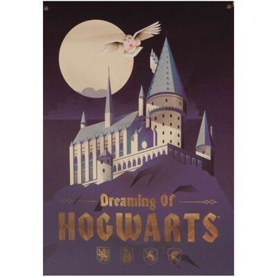 Blue Sky Studios Harry Potter XL Stoffwandbild - Wandbanner Blue Sky Studios Harry Potter XL Stoffwandbild - Wandbanner