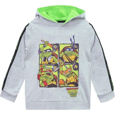 Teenage Mutant Ninja Turtles Hoodie grey 5-6 Years Male Teenage Mutant Ninja Turtles Hoodie grey 5-6 Years Male