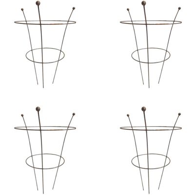 Samuel Alexander Tom Chambers Herbaceous Rusted Steel Garden Plant Support - Garden Support Samuel Alexander Tom Chambers Herbaceous Rusted Steel Garden Plant Support - Garden Support