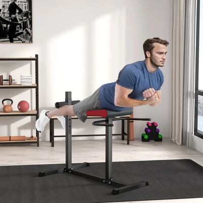 SPORTNOW - Back Extension Roman Chair - Abdominal - Chair - Publicité SPORTNOW - Back Extension Roman Chair - Abdominal - Chair - Publicité
