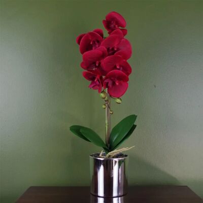 N/A - Red Artificial Orchid - Home Decor Plant N/A - Red Artificial Orchid - Home Decor Plant