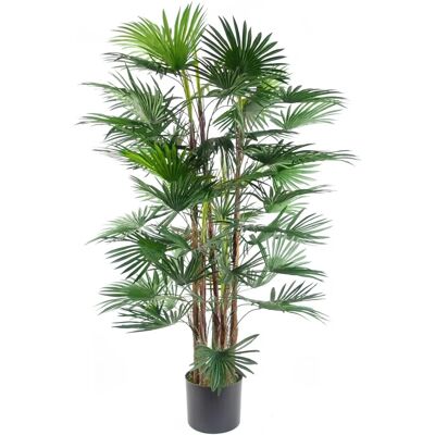 Green Artificial Fan Palm Tree - 120cm - Indoor/Outdoor Decor Green Artificial Fan Palm Tree - 120cm - Indoor/Outdoor Decor