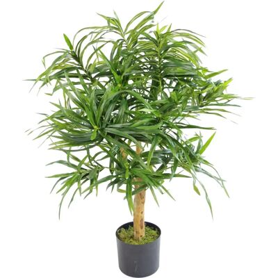 AIrificial Plant - Green Dracaena, 100cm, Hand Finished - Home Decor AIrificial Plant - Green Dracaena, 100cm, Hand Finished - Home Decor