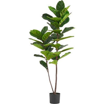 Botanik 150cm Green Premium Artificial Fiddle Fig Tree - Artificial Fiddle Fig Tree Botanik 150cm Green Premium Artificial Fiddle Fig Tree - Artificial Fiddle Fig Tree