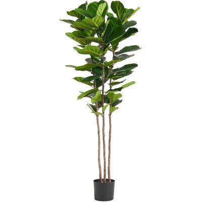 Botanik UK 180cm Green Artificial Fiddle Leaf Fig Tree - Artificial Tree Botanik UK 180cm Green Artificial Fiddle Leaf Fig Tree - Artificial Tree