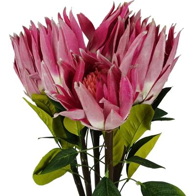 Leaf Pink Artificial Flowers - 6x65cm Protea Sugarbush Stems Leaf Pink Artificial Flowers - 6x65cm Protea Sugarbush Stems
