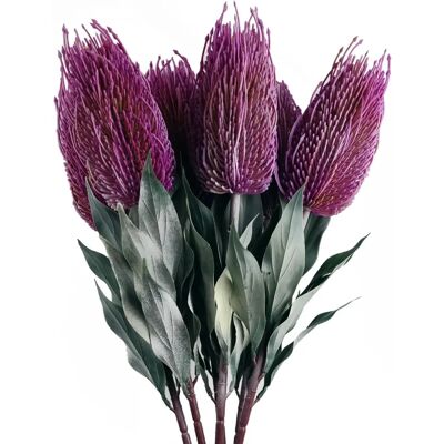 Leaf Pack Of 6 Pink 75cm Artificial Banksia Menziesii Flower Stems - Artificial Flower Stems Leaf Pack Of 6 Pink 75cm Artificial Banksia Menziesii Flower Stems - Artificial Flower Stems