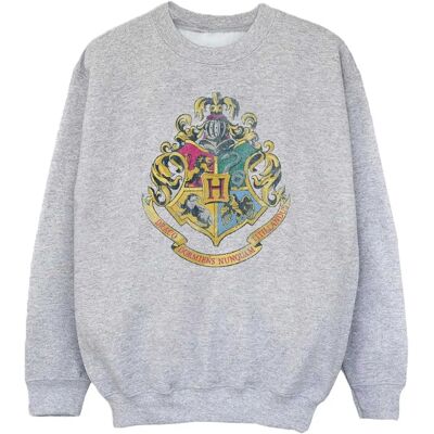 Harry Potter Hogwarts Houses Katoenen Sweatshirt - Kinderen 7-8 Jaar Harry Potter Hogwarts Houses Katoenen Sweatshirt - Kinderen 7-8 Jaar