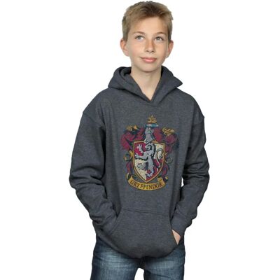 Harry Potter Jungen Gryffindor Kapuzenpullover - Abgesplittertes Wappen für 9-11 Jahre Harry Potter Jungen Gryffindor Kapuzenpullover - Abgesplittertes Wappen für 9-11 Jahre