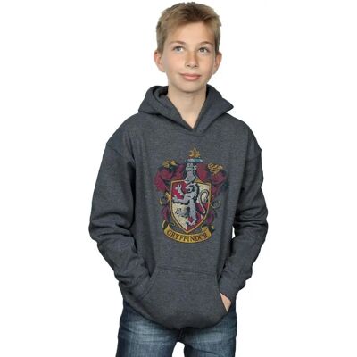 Harry Potter - Gryffindor Crest Hoodie - Dunkel Heather - 12-13 Jahre Harry Potter - Gryffindor Crest Hoodie - Dunkel Heather - 12-13 Jahre