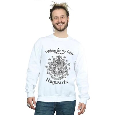 Absolute Cult Harry Potter Hogwarts Sweatshirt - Unisex Absolute Cult Harry Potter Hogwarts Sweatshirt - Unisex