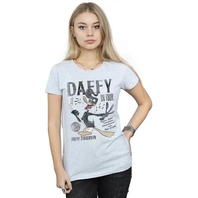 Absolute Cult Looney Tunes Daffy Duck Szara Koszulka - Sport Absolute Cult Looney Tunes Daffy Duck Szara Koszulka - Sport