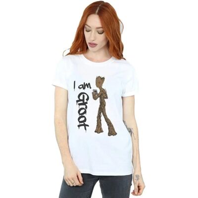 Absolute Cult Marvel Groot Avengers Infinity War T-Shirt - White Absolute Cult Marvel Groot Avengers Infinity War T-Shirt - White