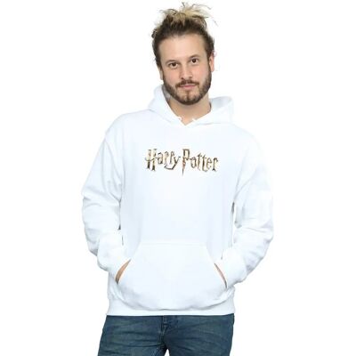 Absolute Cult Harry Potter Men's Full Colour Logo Hoodie - Hooded Sweatshirt Absolute Cult Harry Potter Men's Full Colour Logo Hoodie - Hooded Sweatshirt
