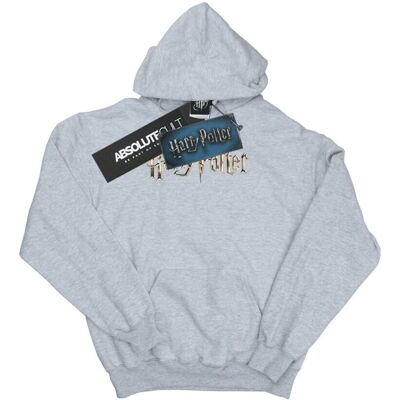 Harry Potter Sport Grey Hoodie - Vollfarbiges Logo - Hoodie Harry Potter Sport Grey Hoodie - Vollfarbiges Logo - Hoodie