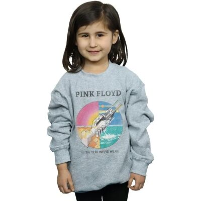 Felpa Pink Floyd per ragazzi in cotone pesante Felpa Pink Floyd per ragazzi in cotone pesante
