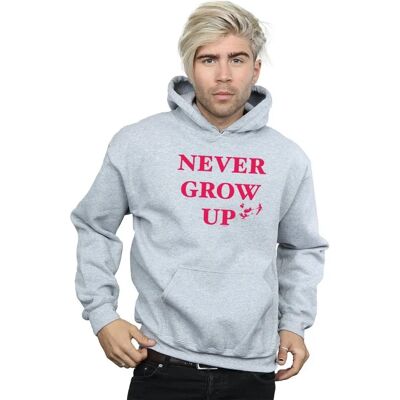 Absolute Cult Disney Peter Pan Hoodie - Sport Grau Large Absolute Cult Disney Peter Pan Hoodie - Sport Grau Large
