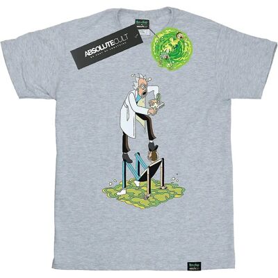 Absolute Cult Rick Morty Damen T-Shirt - Lässig, Heather Grau, Small Absolute Cult Rick Morty Damen T-Shirt - Lässig, Heather Grau, Small