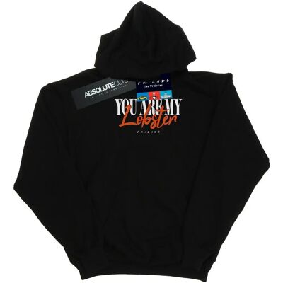 Absolute Cult Friends Hummer Seelenverwandte Hoodie - Kapuzenpullover Absolute Cult Friends Hummer Seelenverwandte Hoodie - Kapuzenpullover