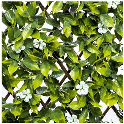ARKMat Expanding Trellis 200x100 Sakura Privacy Screen ARKMat Expanding Trellis 200x100 Sakura Privacy Screen