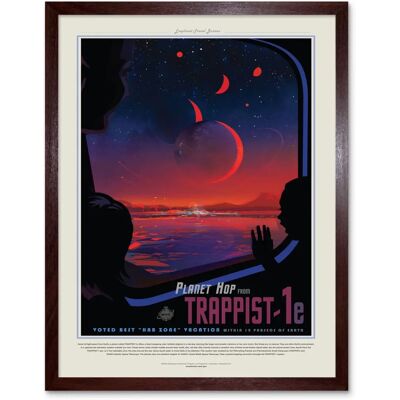 Artery8 Trappist 1E Landscape - Brown - 12x16 - Poster Artery8 Trappist 1E Landscape - Brown - 12x16 - Poster