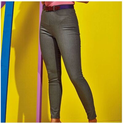 Asquith & Fox Dames Klassieke Pasvorm Jeggings - Slate - XXS Asquith & Fox Dames Klassieke Pasvorm Jeggings - Slate - XXS
