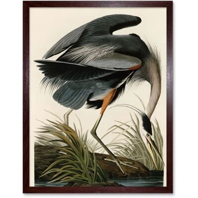 Artery8 - Audubon Great Blue Heron - Art Print Artery8 - Audubon Great Blue Heron - Art Print