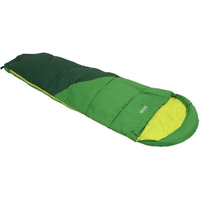 Saco de dormir Regatta Hilo V2 250 (RCE400-7SY-SGL) verde Saco de dormir Regatta Hilo V2 250 (RCE400-7SY-SGL) verde