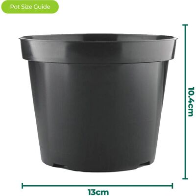 Gardeners Dream - 5x1L Round Pots - Round - Plant Pot Set Gardeners Dream - 5x1L Round Pots - Round - Plant Pot Set