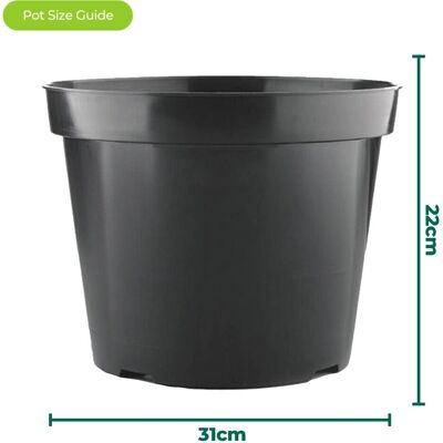 Gardeners Dream - 5 x 12L Round Pots - Round - Plant Pots Gardeners Dream - 5 x 12L Round Pots - Round - Plant Pots