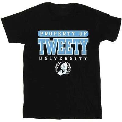 Absolute Cult Looney Tunes Tweety Schwarzes T-Shirt - T-Shirt Absolute Cult Looney Tunes Tweety Schwarzes T-Shirt - T-Shirt