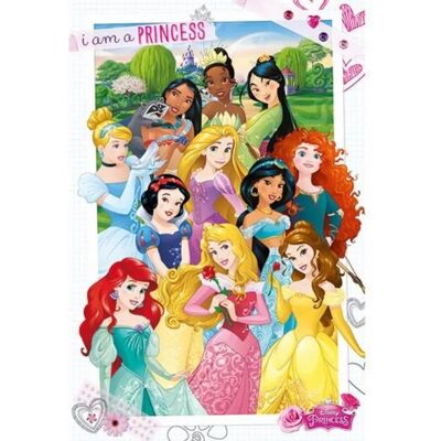 Poster Princesse Disney - Personnages - 61cm x 91cm Poster Princesse Disney - Personnages - 61cm x 91cm