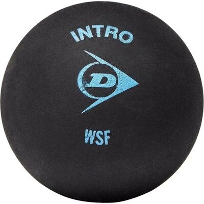 Dunlop UTRD922 - Squash Balls - Pack of 12 - Suitable for Beginners Dunlop UTRD922 - Squash Balls - Pack of 12 - Suitable for Beginners