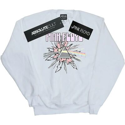 Pink Floyd Damen Pastell Dreieck Sweatshirt - Sweatshirt Pink Floyd Damen Pastell Dreieck Sweatshirt - Sweatshirt