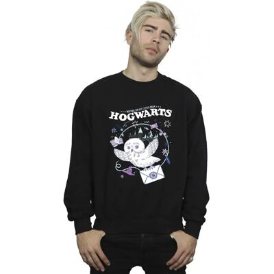 Absolute Cult Harry Potter Uhu Briefing Sweatshirt - Sweatshirt Absolute Cult Harry Potter Uhu Briefing Sweatshirt - Sweatshirt