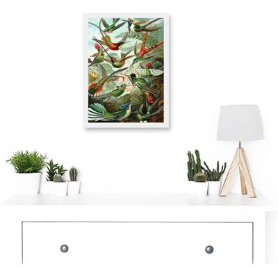 Artery8 - Ernst Haeckel Hummingbird - A4 - Wall Art Print Artery8 - Ernst Haeckel Hummingbird - A4 - Wall Art Print
