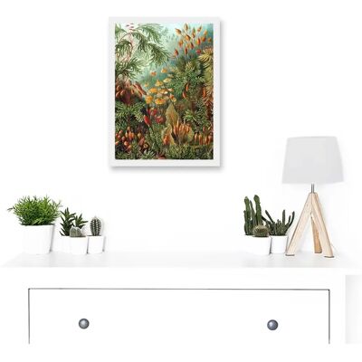 Artery8 - Ernst Haeckel Sea Plant - A4 - Framed - Wall Art Print Artery8 - Ernst Haeckel Sea Plant - A4 - Framed - Wall Art Print